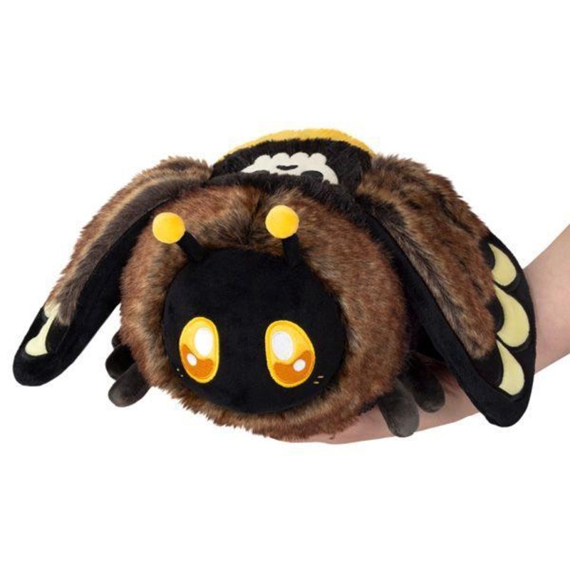 Mini Death's Head Hawkmoth