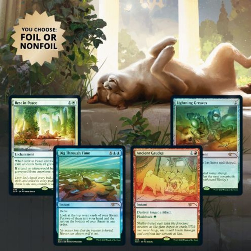 MTG: Secret Lair Drop Every Dog Has Its Day Foil